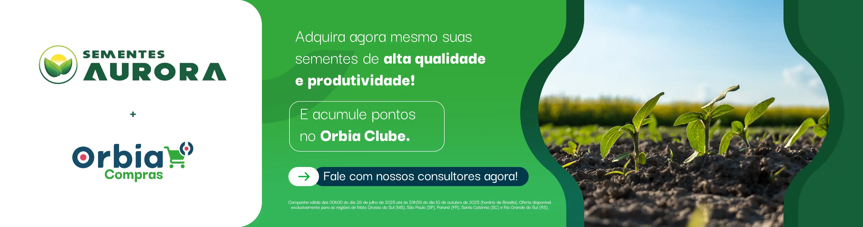 Main_SementesAurora