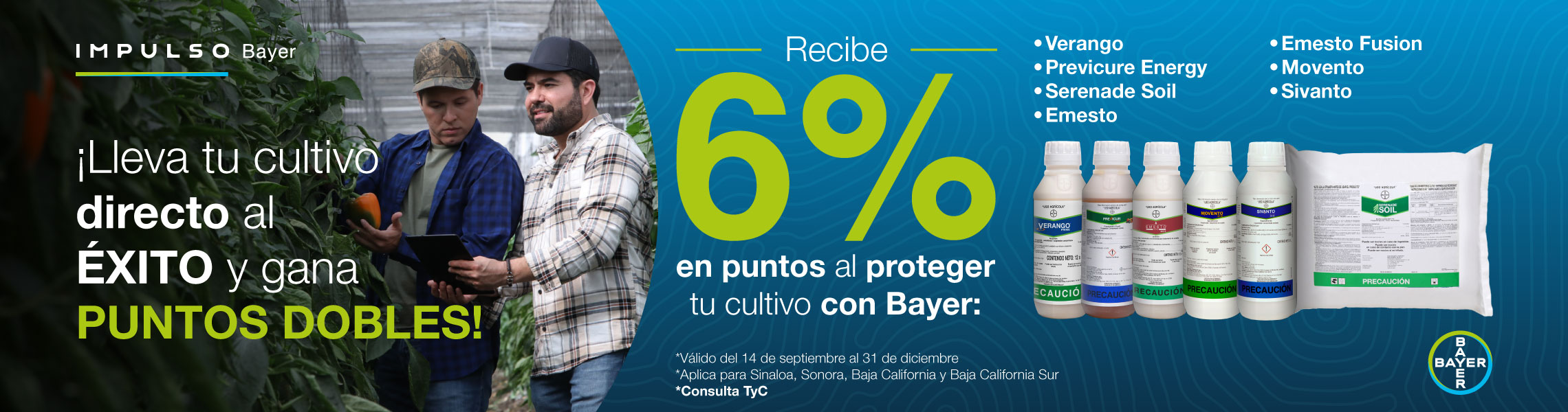 Bayer 6%