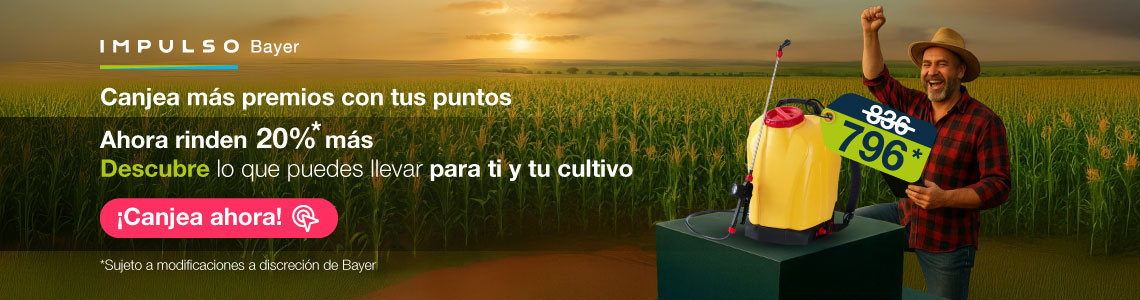 Canjea mas premios con tus puntos 2