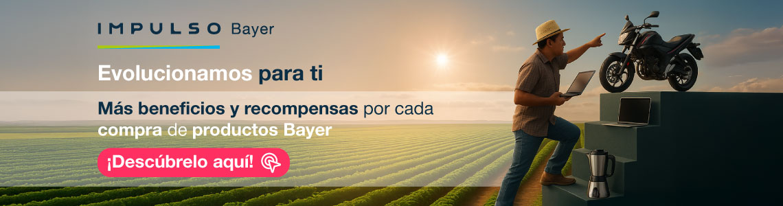 Evolucionamos para ti Mas beneficios y recompensas