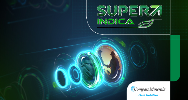 Super Indica