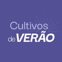 Cultivo de Verão