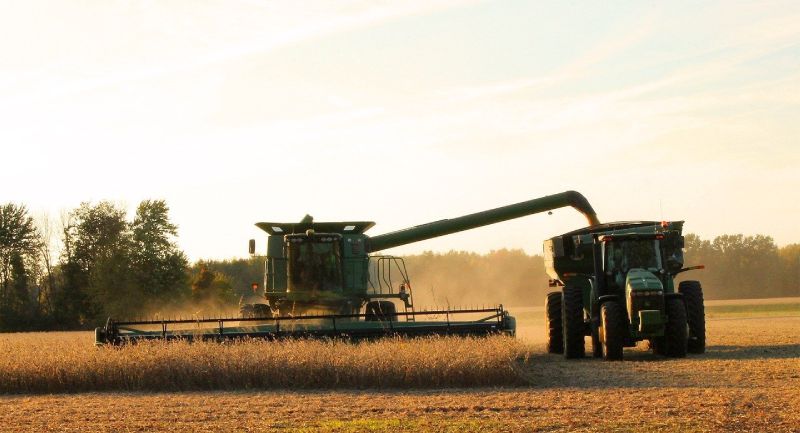 Colheitadeira trabalha em produção de soja