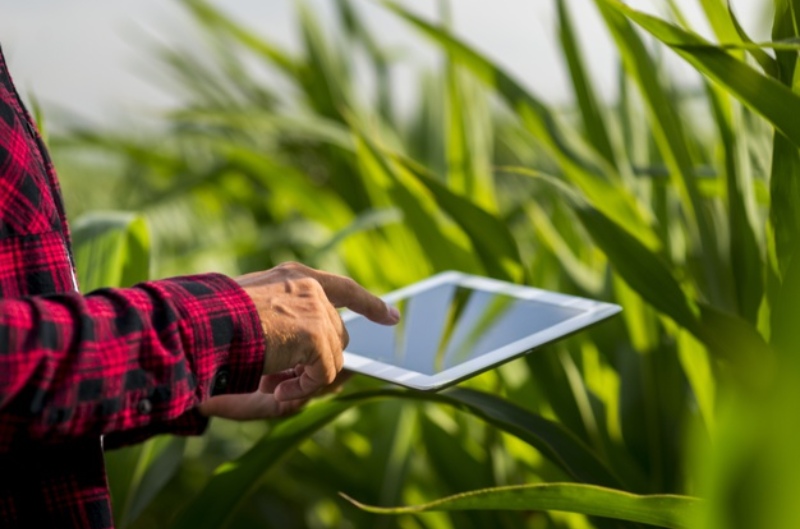 Compra online de insumos agrícolas