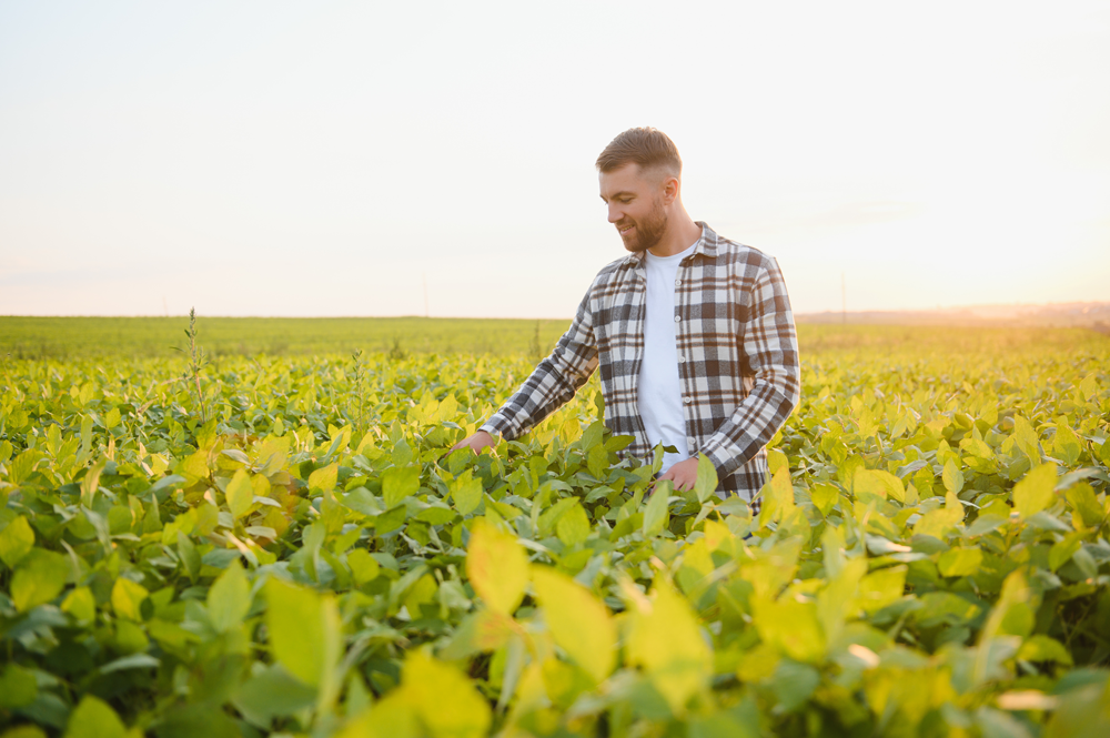 Orbia anuncia parceria com Agrigolden