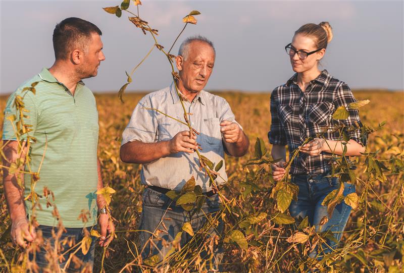 Descubra como superar os desafios da sucessão familiar no agronegócio com estratégias práticas que garantem a continuidade e o sucesso do seu negócio rural