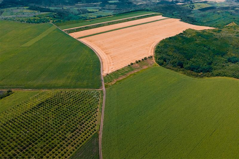 Vista aérea de várias culturas agrícolas