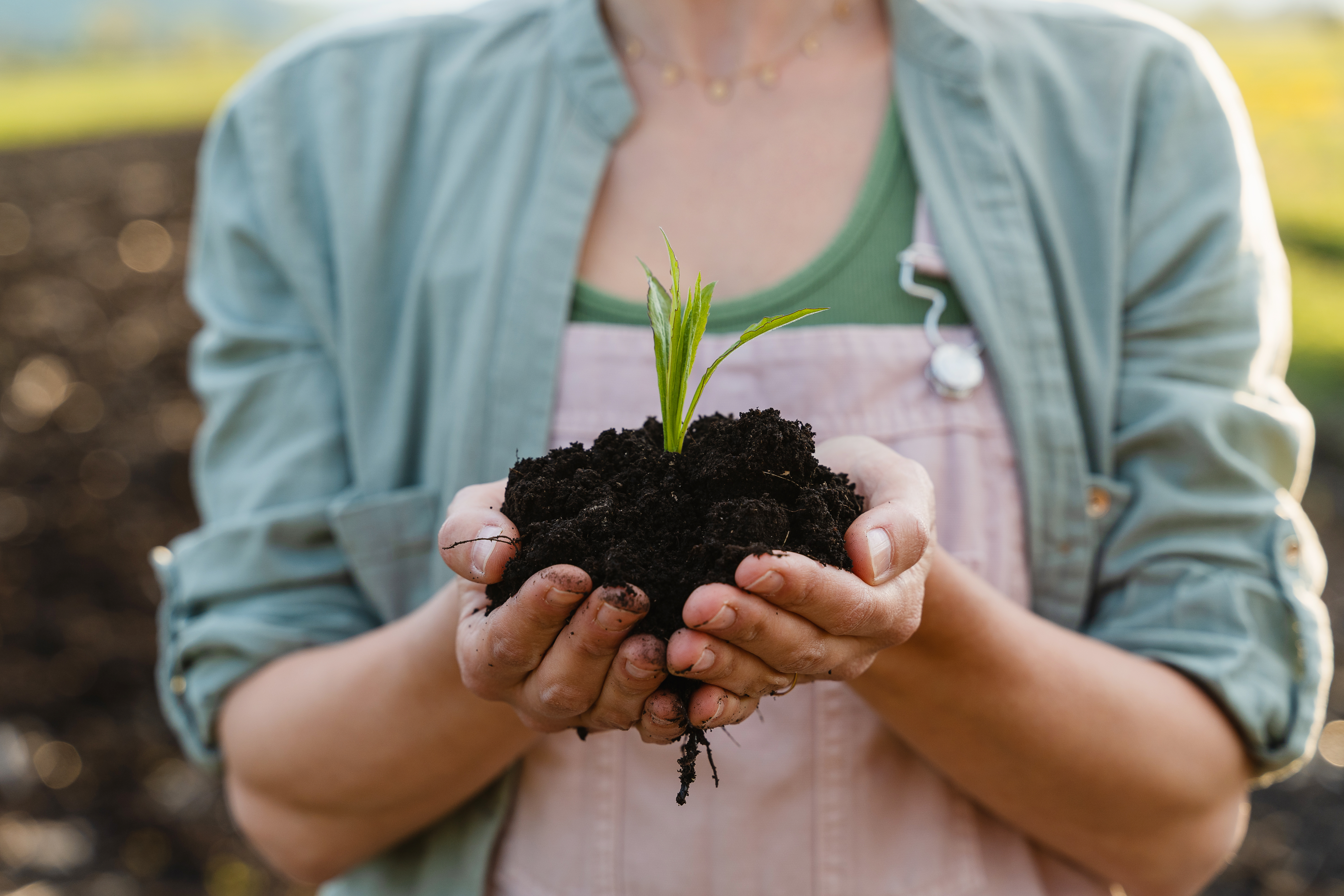 Aumento das temperaturas, padrões de precipitação irregulares e eventos climáticos extremos são apenas alguns exemplos de mudanças climáticas que estão impactando diretamente a produção agrícola. Nesse cenário, adotar práticas de agricultura sustentável se tornou essencial para garantir a resiliência e a produtividade do setor agrícola a longo prazo. 