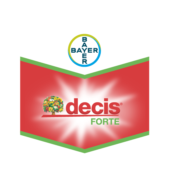 Decis Forte