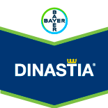 DINASTIA EC100