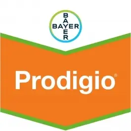 Prodigio