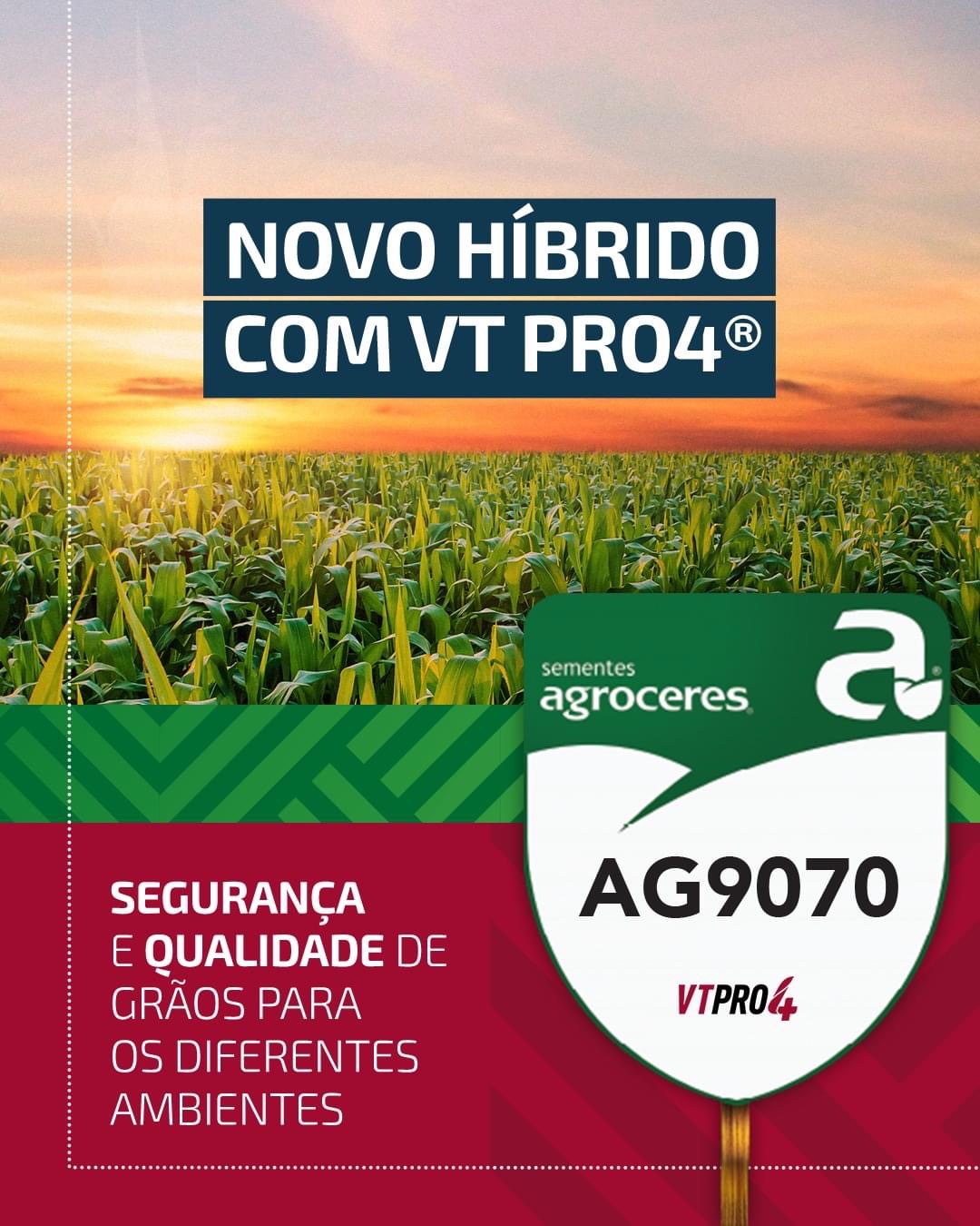 Semente Milho AG 9070 PRO4 - Tratamento Poncho