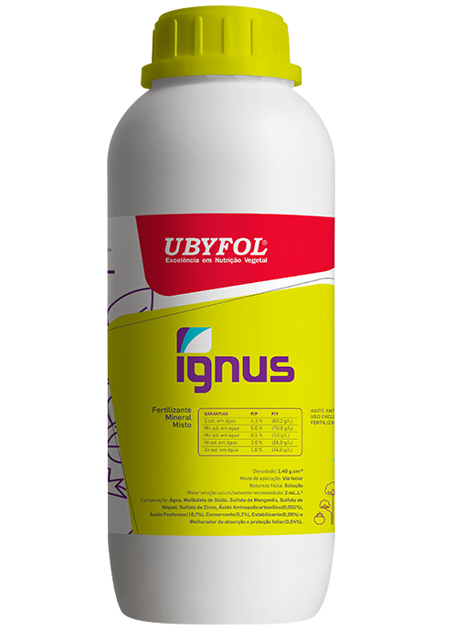 UBYFOL IGNUS