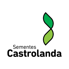 BMX 57I59 RSF IPRO - CROMO