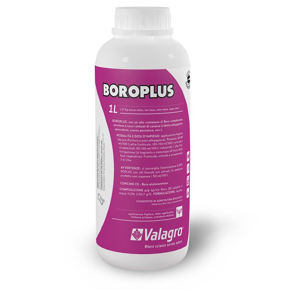 BOROPLUS