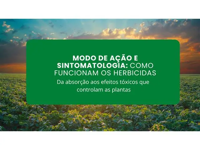 Curso Como Funcionam os Herbicidas - Modo de Ação e Sintomatologia