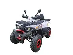 Quadriciclo Bull Motors Braves 200cc Automático Branco 2023/2023 - 3