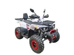 Quadriciclo Bull Motors Braves 200cc Automático Branco 2023/2023 - 0