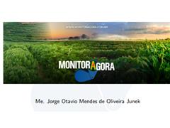 Monitoramento de Pragas e Doenças - Monitoragora