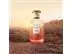 Perfume Dreams Sunset Coach Feminino Eau de Parfum 60ml - 2
