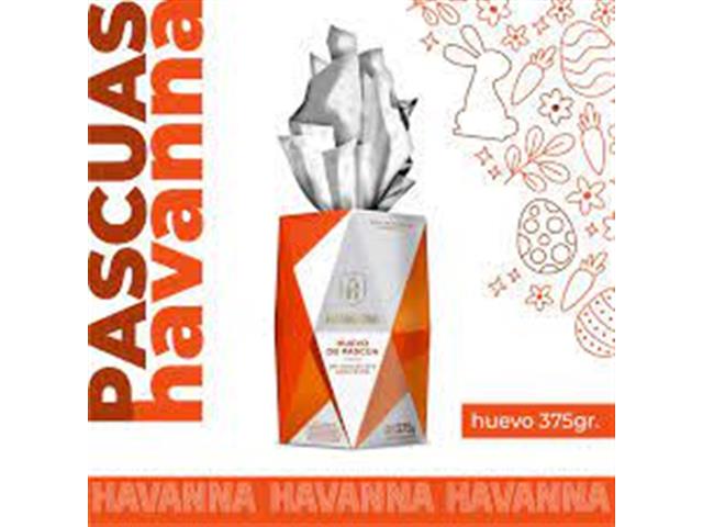 Huevo de Pascuas de Chocolate con Leche 375GR HAVANNA