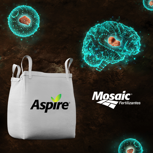 Fertilizante Granular 00-00-58 ASPIRE + 0,5% B 