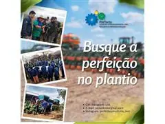 Plantio - Plantabilidade Perfeita - Reinaldo Kil - 2