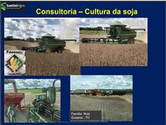 Consultoria em grandes cultivos como HF & FEIJÃO - SantiniAgro