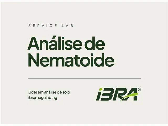 Análise de Solo - IBRA (Sorriso-MT) - 2
