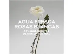 Perfume Adolfo Dominguez Agua Fresca de Rosas Blancas EDT 120ML - 5