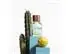 Perfume Benetton United Dreams Green Cactus For Him EDT 100ML - 2