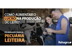 Pós graduação em Pecuária Leiteira Online