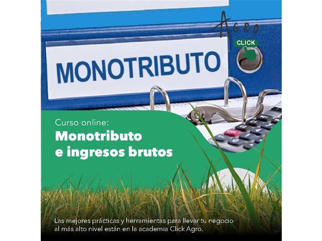 CURSO DE MONOTRIBUTO E INGRESOS BRUTOS - Click Agro