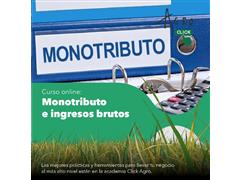 CURSO DE MONOTRIBUTO E INGRESOS BRUTOS - Click Agro - 0