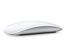 Apple Magic Mouse - 2