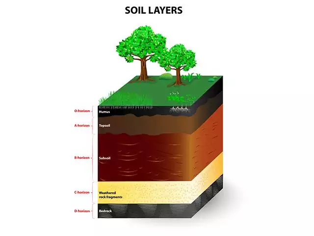 Agricultura de precisão Grid de 1 HA (100x100m) (Campear)