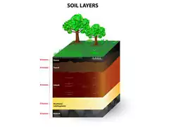 Agricultura de precisão Grid de 1 HA (100x100m) (Campear)