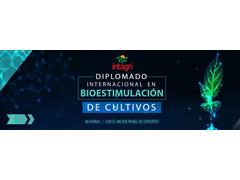 Diplomado Internacional de Bioestimulación de Cultivos