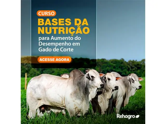 Curso: Bases da Nutrição para Aumento do Desempenho em Gado de Corte