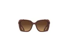 Óculos de Sol Feminino Colcci Alexia Marrom Lente Marrom Degradê - 1