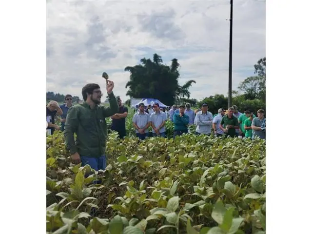 Palestra e Treinamento Técnico em Fitopatologia - 4