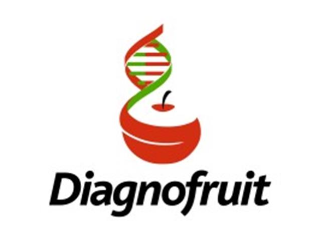 DIAGNOFRUIT:  Estudios Fitopatologicos de Crisantemos