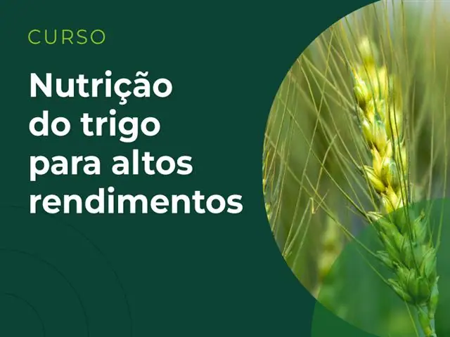 Elevagro | Curso - Nutrição do Trigo para Altos Rendimentos