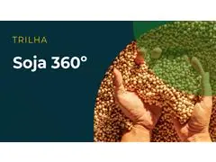 Elevagro | Trilha de Aprendizado - Soja 360º