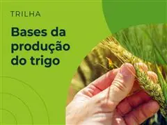 Elevagro | Trilha de Aprendizado - Bases da Produção do Trigo