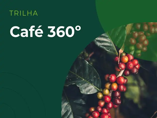 Elevagro | Trilha de aprendizado - Café 360º