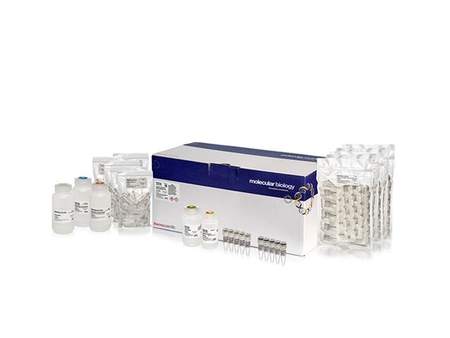 Thermo Scientific™ GENEJET GENOMIC DNA PURIF KIT (250 preps)