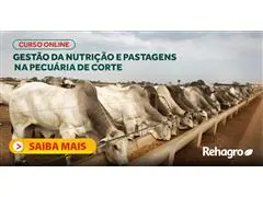 Capacitação em Gestão da Nutrição e Manejo de Pastagens Online