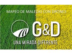 Mapeo de Malezas con Drones -GyD - 0