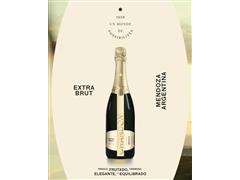 Estuche Chandon: 2 botellas 750 + 2 copas - 1